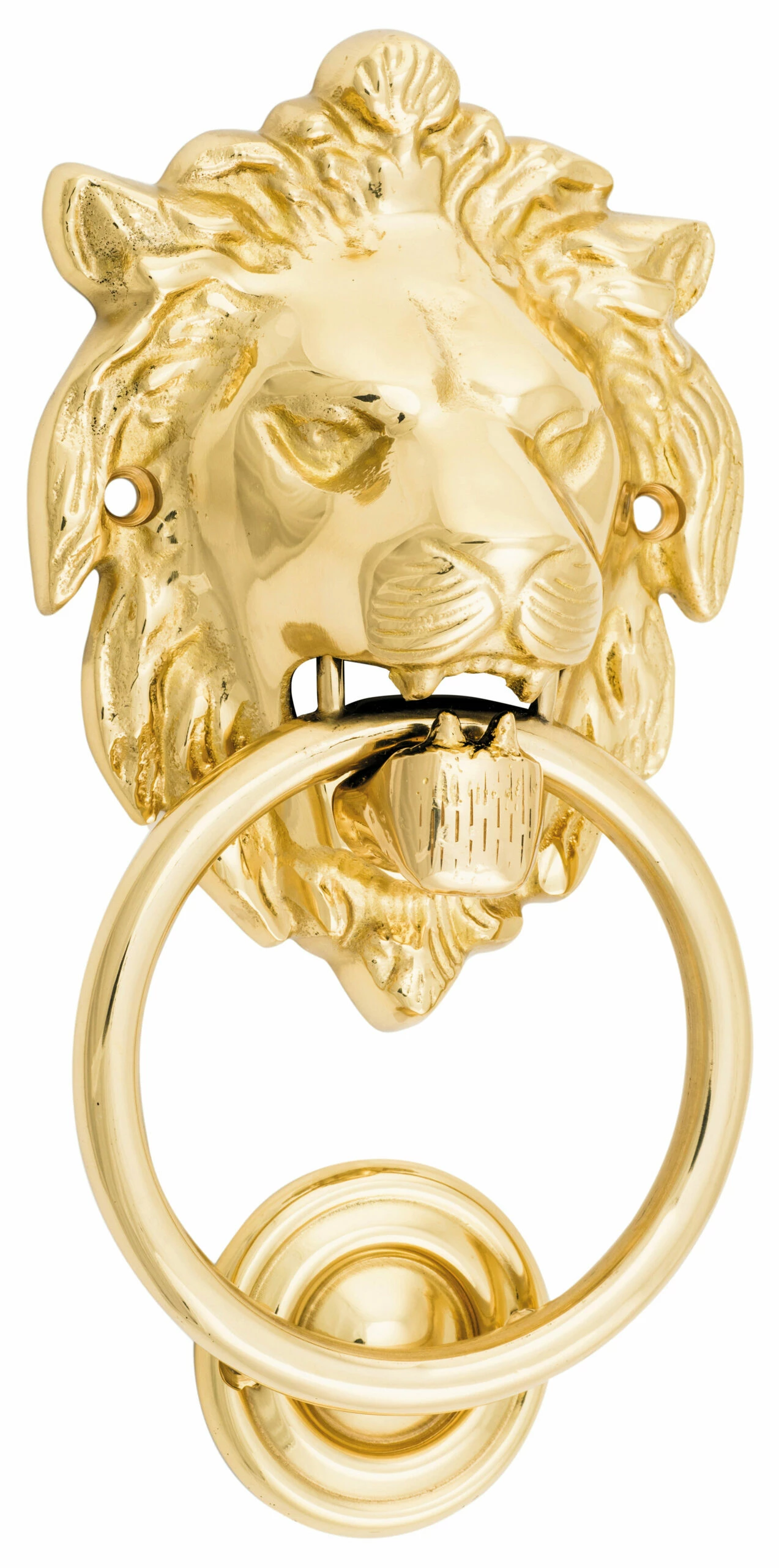 TradCo - Door Knocker - Lion H103xW135mm